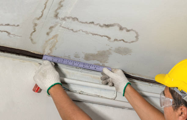 Reliable Sewage Cleanup contractor in Milan, OH by Water Damage Irwin